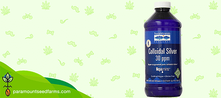 Colloidal Silver Review – Make Feminized Seeds
