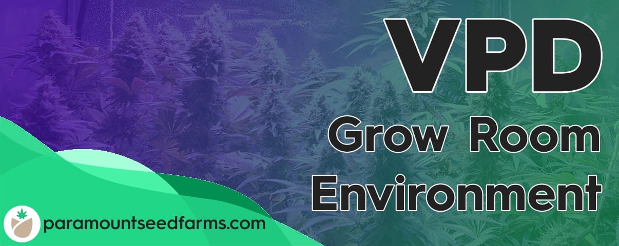 Perfect Grow Room Environment – VPD Chart