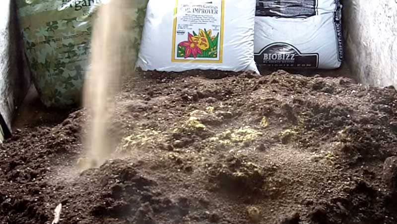 Growing with Super Soil Step 6