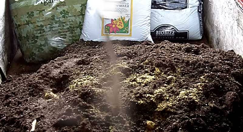 Growing with Super Soil Step 5