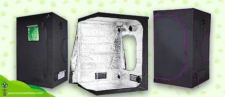 9 Best Grow Tents [2022]: Reviews and Comparison