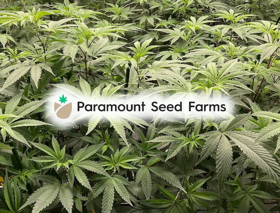 Build a Complete Grow Room For Under $500