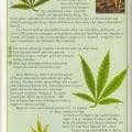 More information about magnesium and growing marijuana