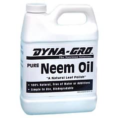 Get Neem Oil Extract on Amazon.com!