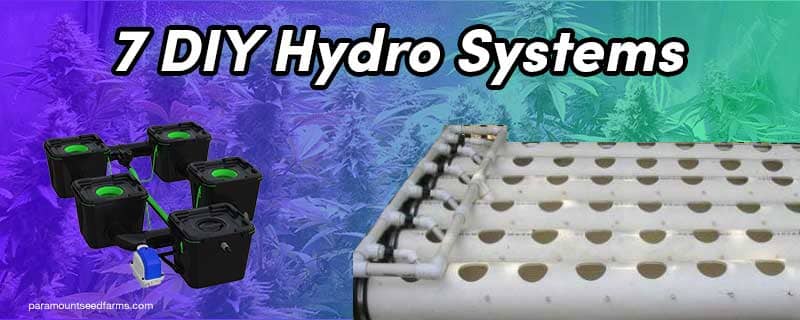 7 DIY Hydroponic Systems – Build Yours Today
