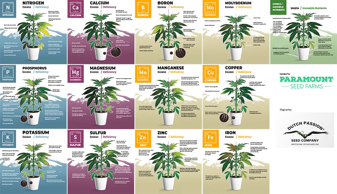 Cannabis Nutrient Deficiencies & Excesses - Complete Cannabis plant deficiencies chart