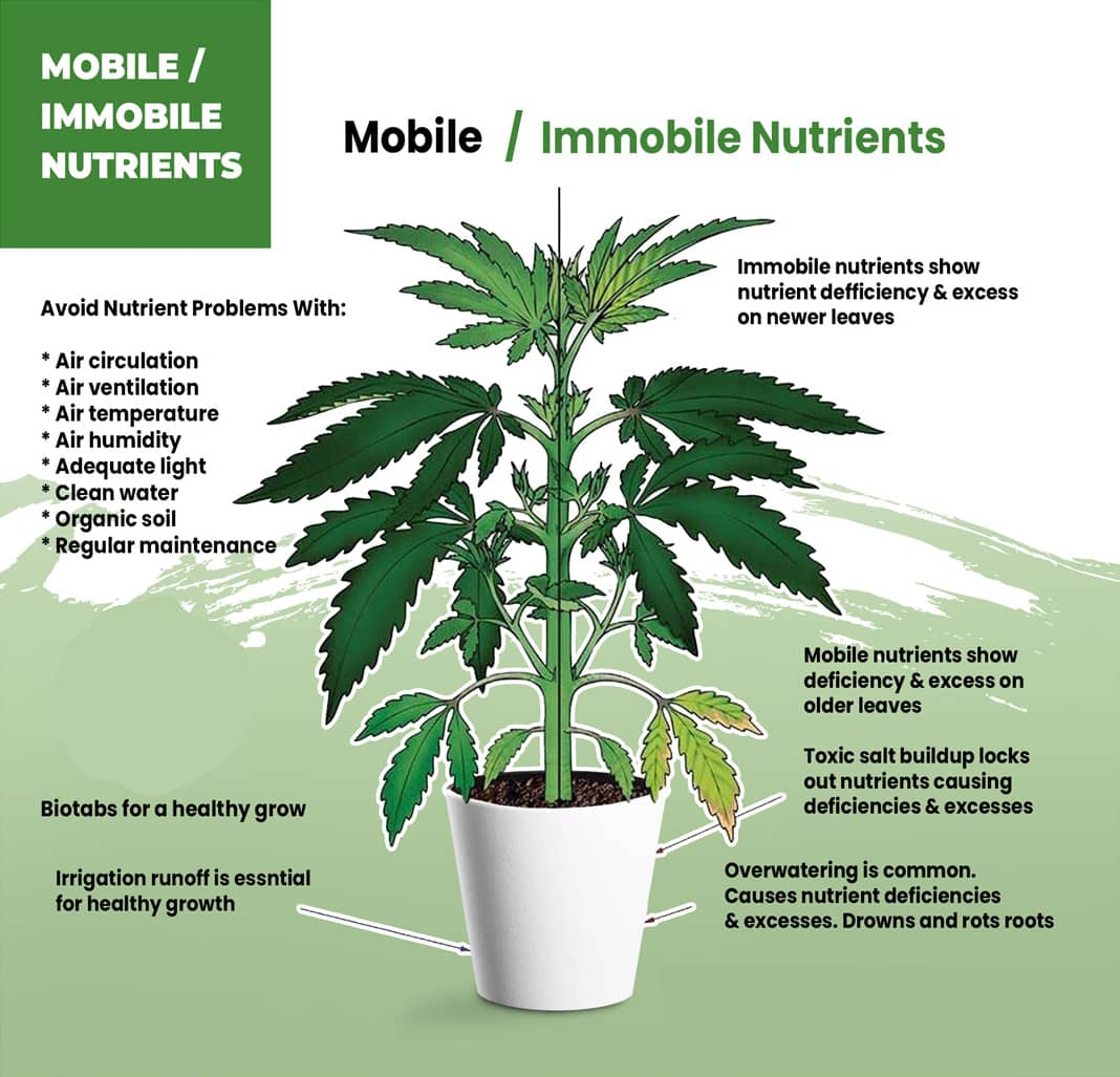 Mobile & Immobile Nutrients